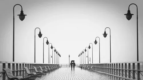 Estudio del vínculo y las necesidades relacionales